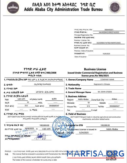 Blank Ethiopia Addis Ababa business license Word and PDF template, version 2